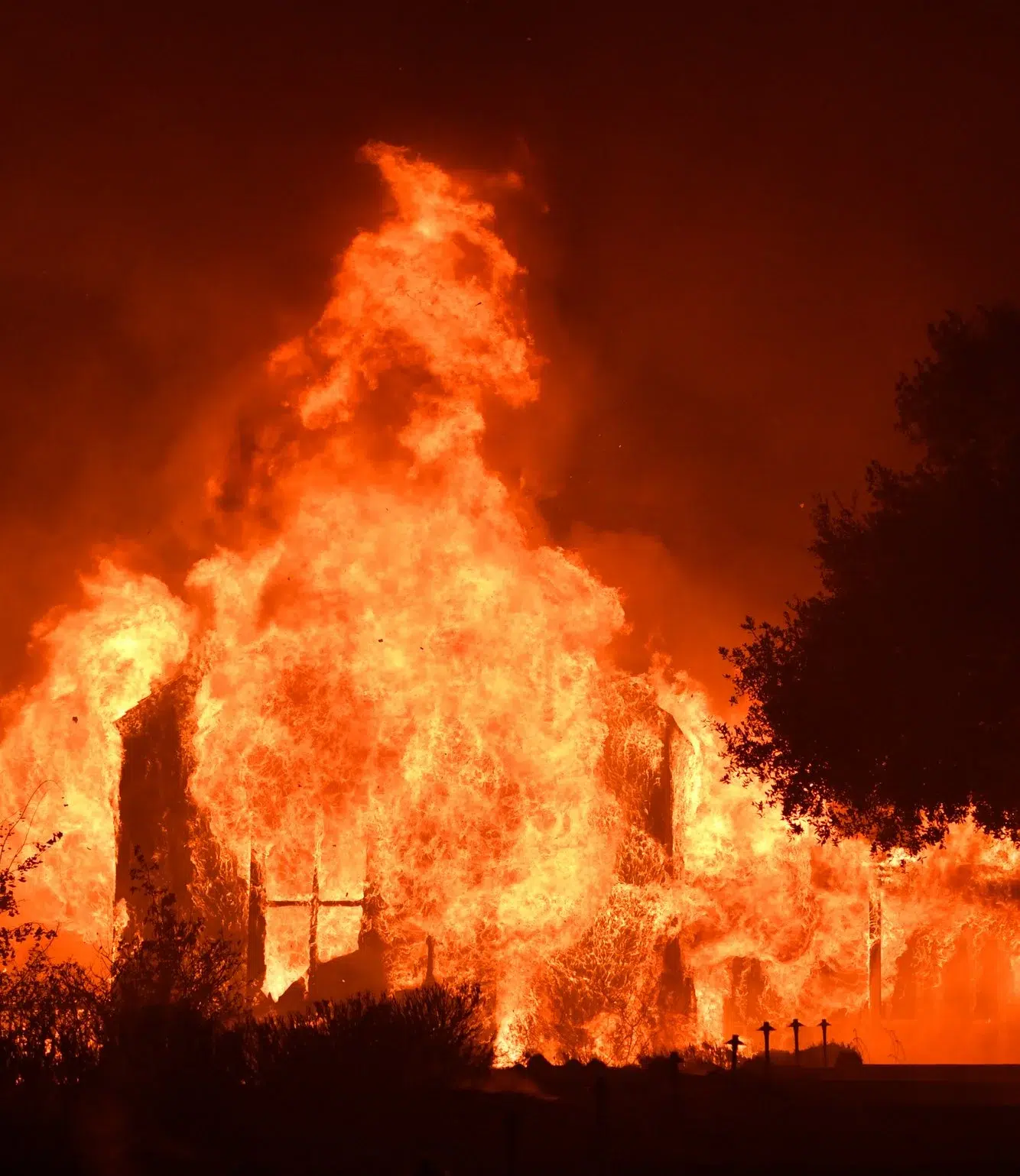 01479983-36bf-4232-af70-9fd626589650