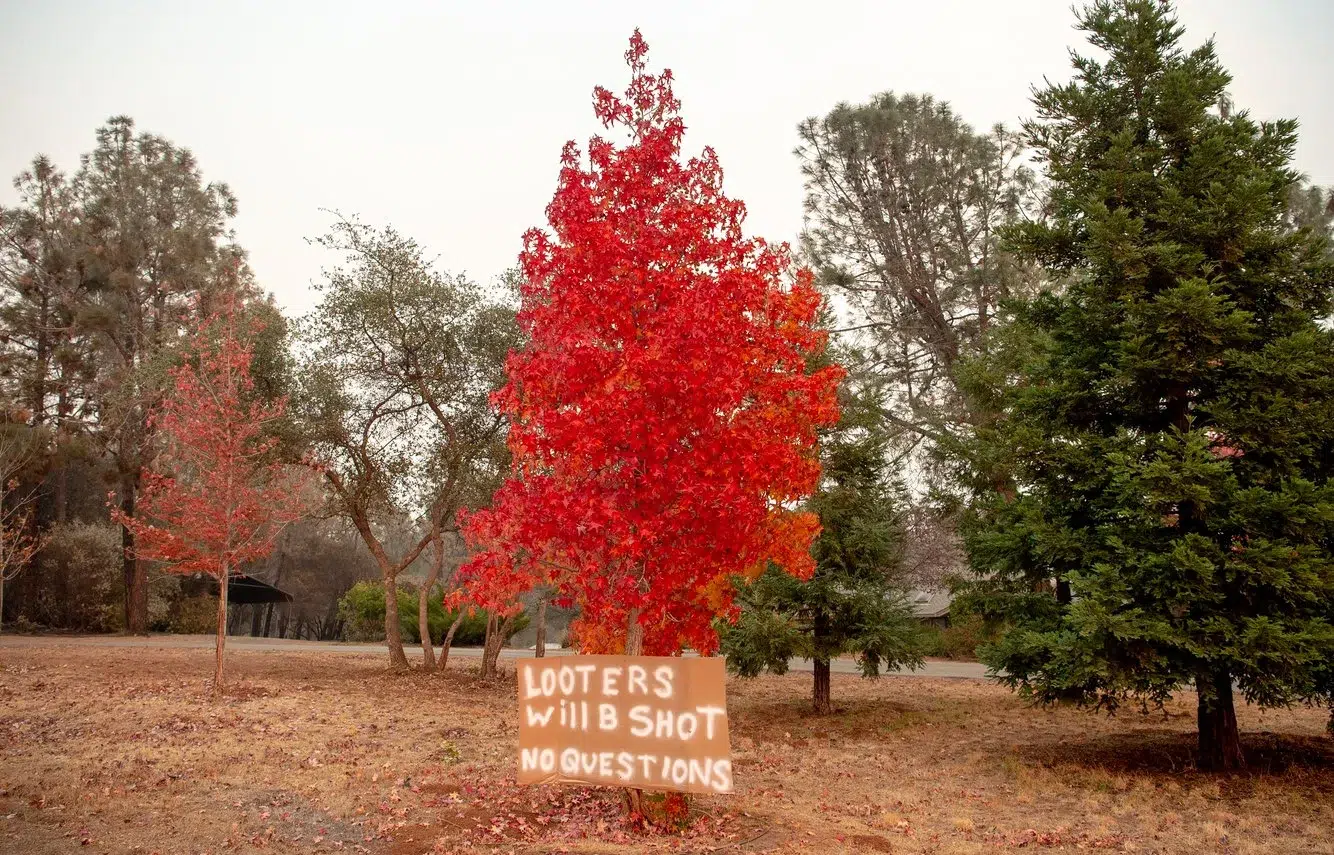 028cece0-a302-4d74-872b-41ba377b70f9