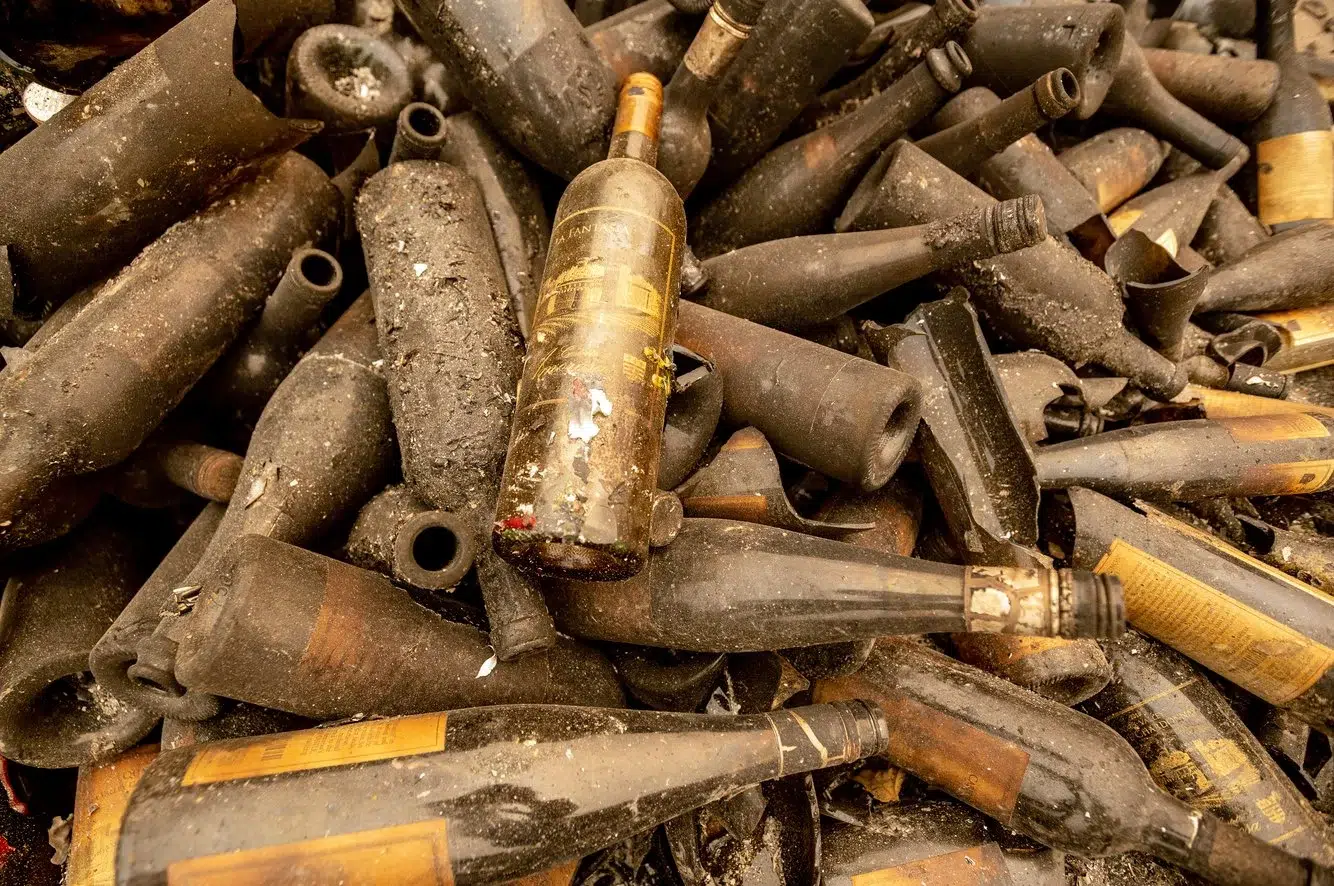 05088613-f249-409e-99fd-a10c86182c10