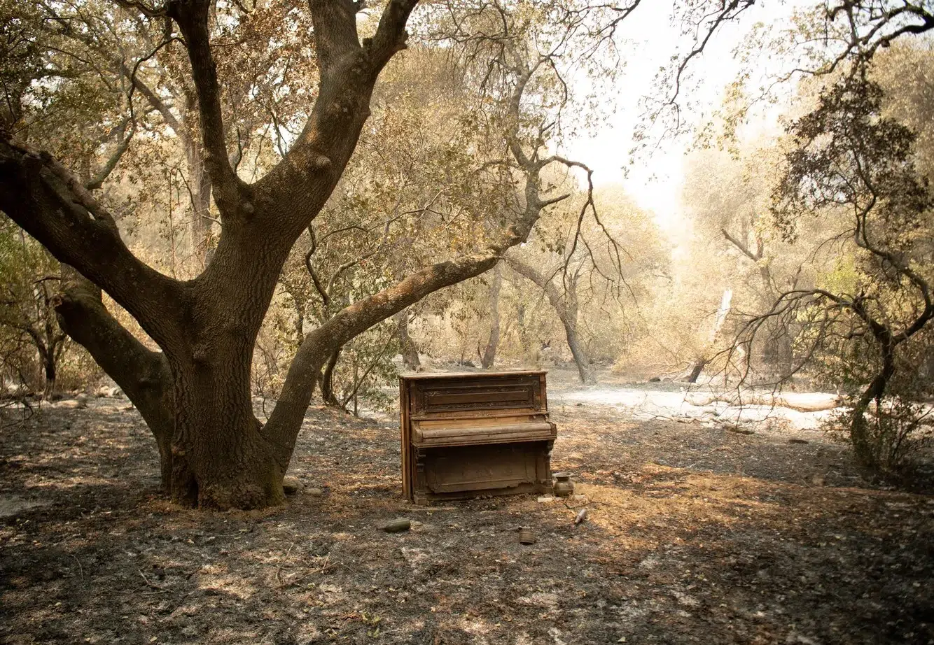 0b216a01-d350-4ab8-be53-75396902f3f8