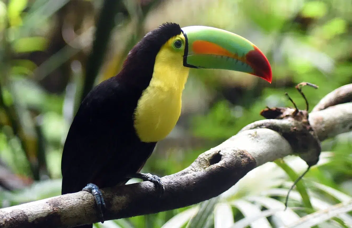 0d5ba46b-da7a-4e76-a793-b1252c918e28