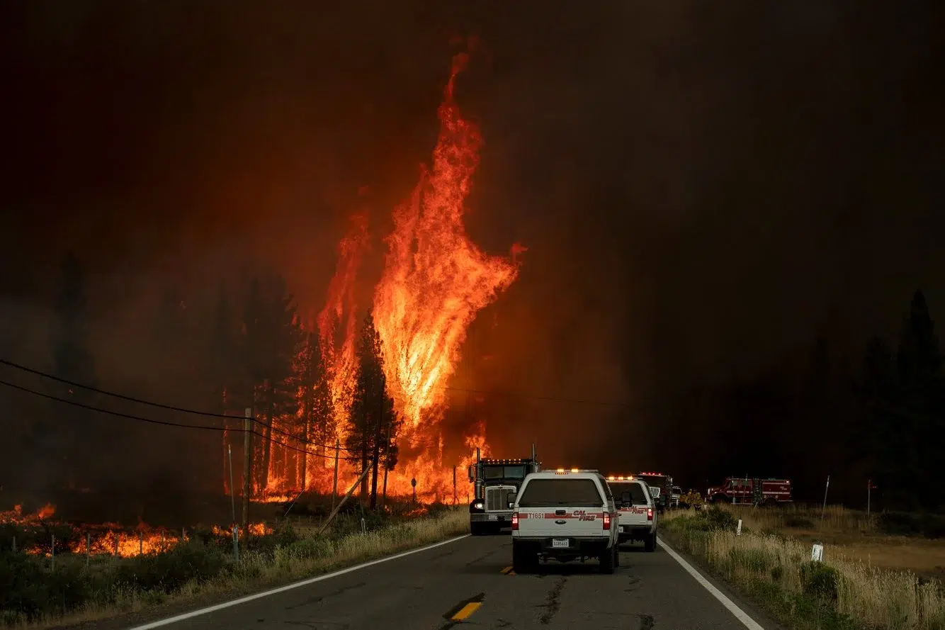 10020f7f-2852-4cb0-ab37-f283a8bcb490