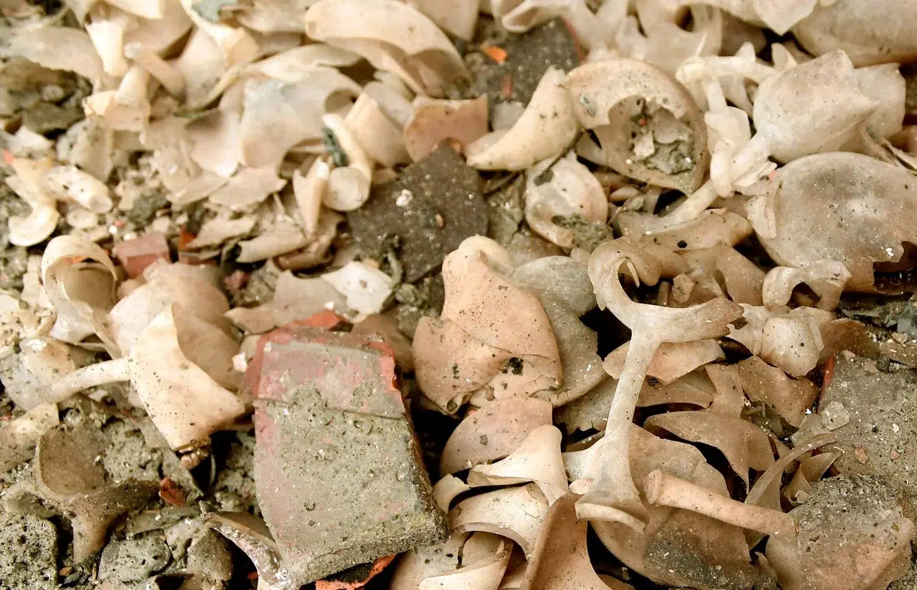 1777592c-1c11-4eeb-ac7b-188802f951c8