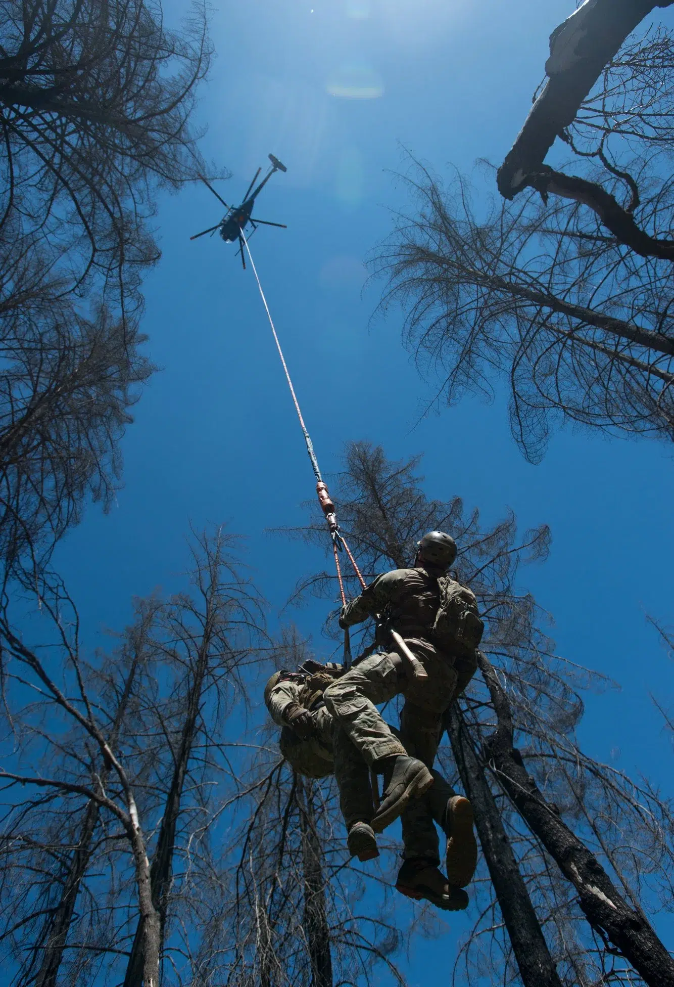 1acc357d-9ab9-4871-809f-70c81af9d882