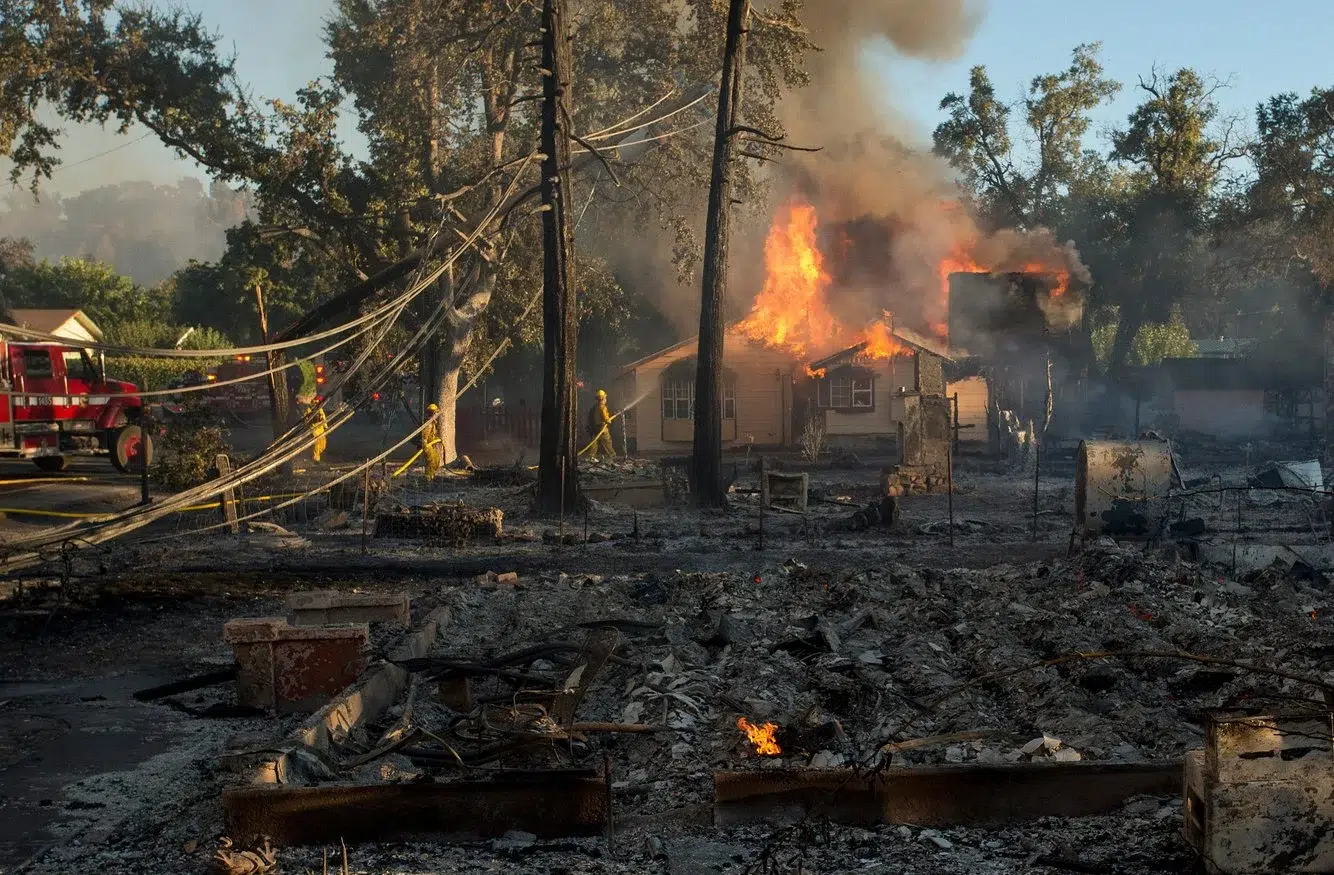 1c1a6b3b-aa67-4efd-b869-32eb1aaa52c6