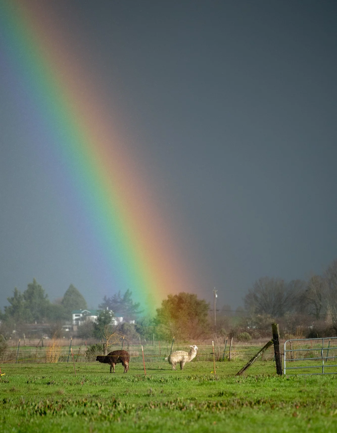 2061bed3-c01e-4c1c-a601-91ff40956cff