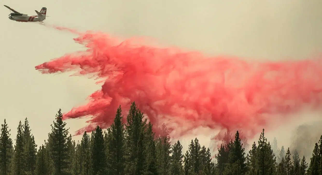 2352fc86-2e3e-462b-af82-050c21b44ed7