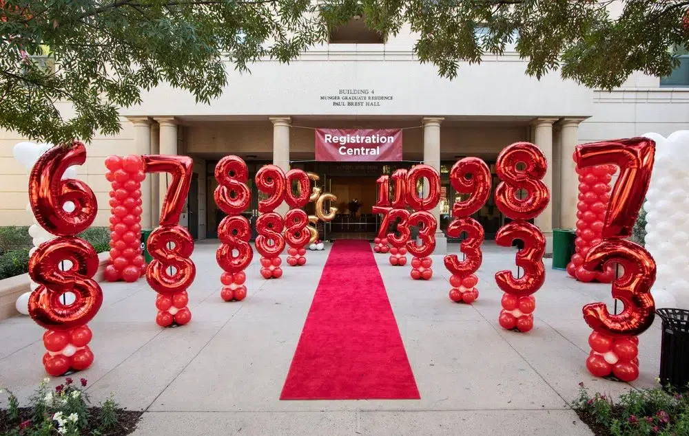 238e530a-1225-4ac5-9a3d-fd46ccb3a6b6