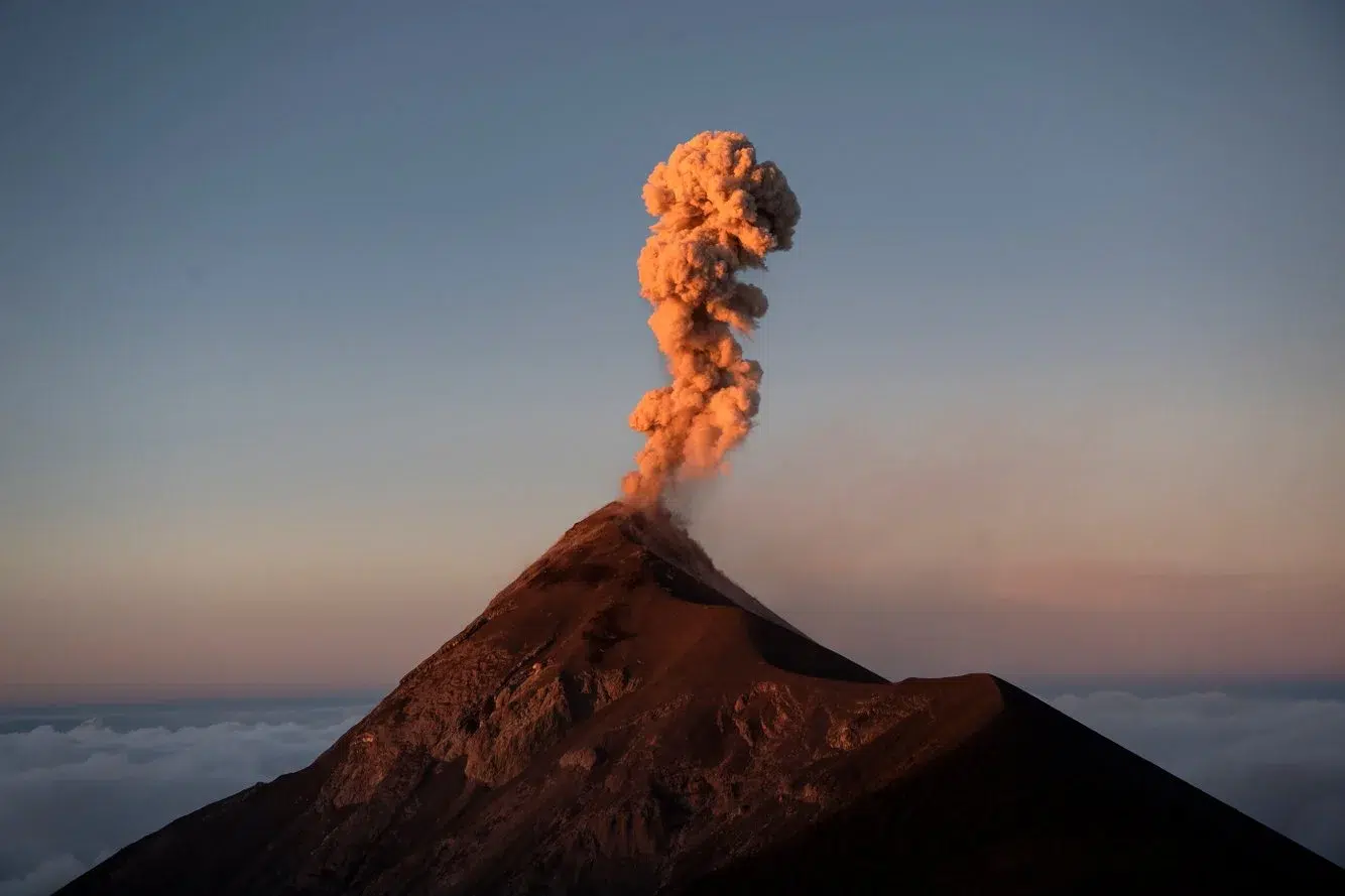 2b62d20f-2b67-4c36-9e5d-2a040d954cfa