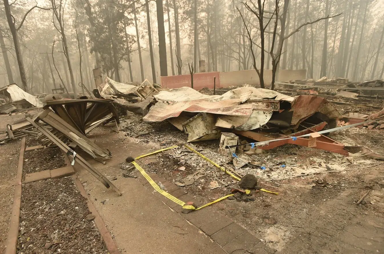 2dc6bd9e-72e3-4982-8486-9095abf43c6a