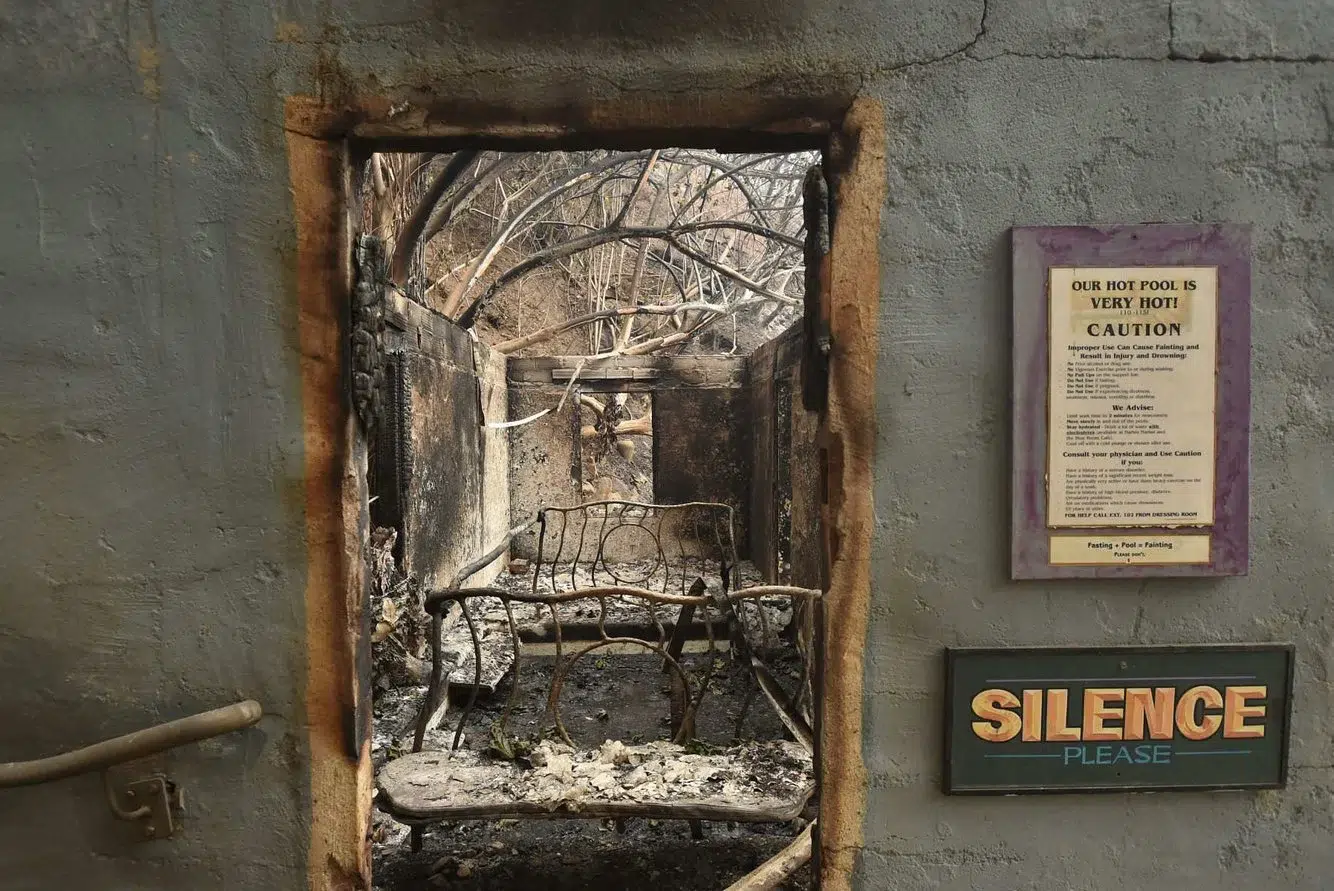 2e663263-0c37-4084-9481-7be0385fae85