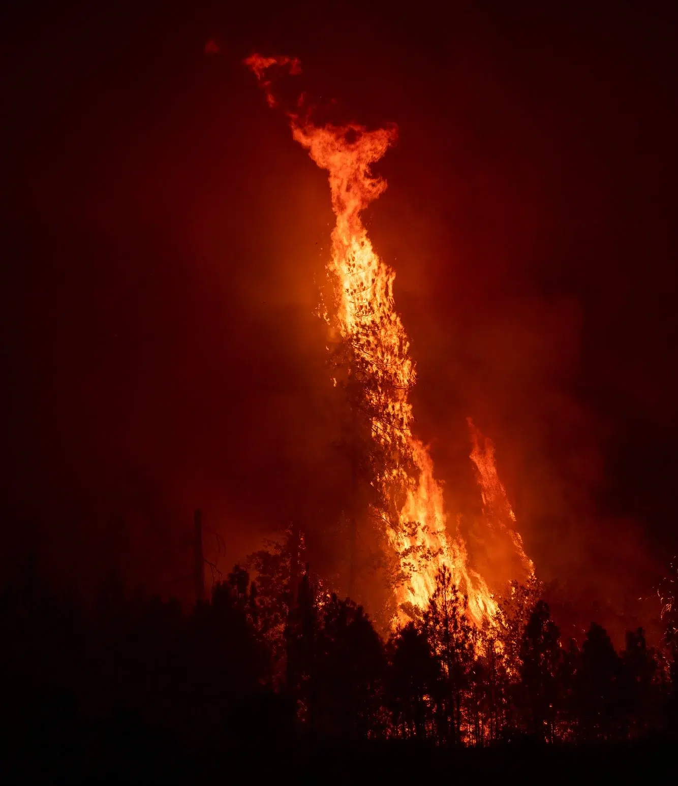 30f44a84-679b-4608-b41f-645c994166cc