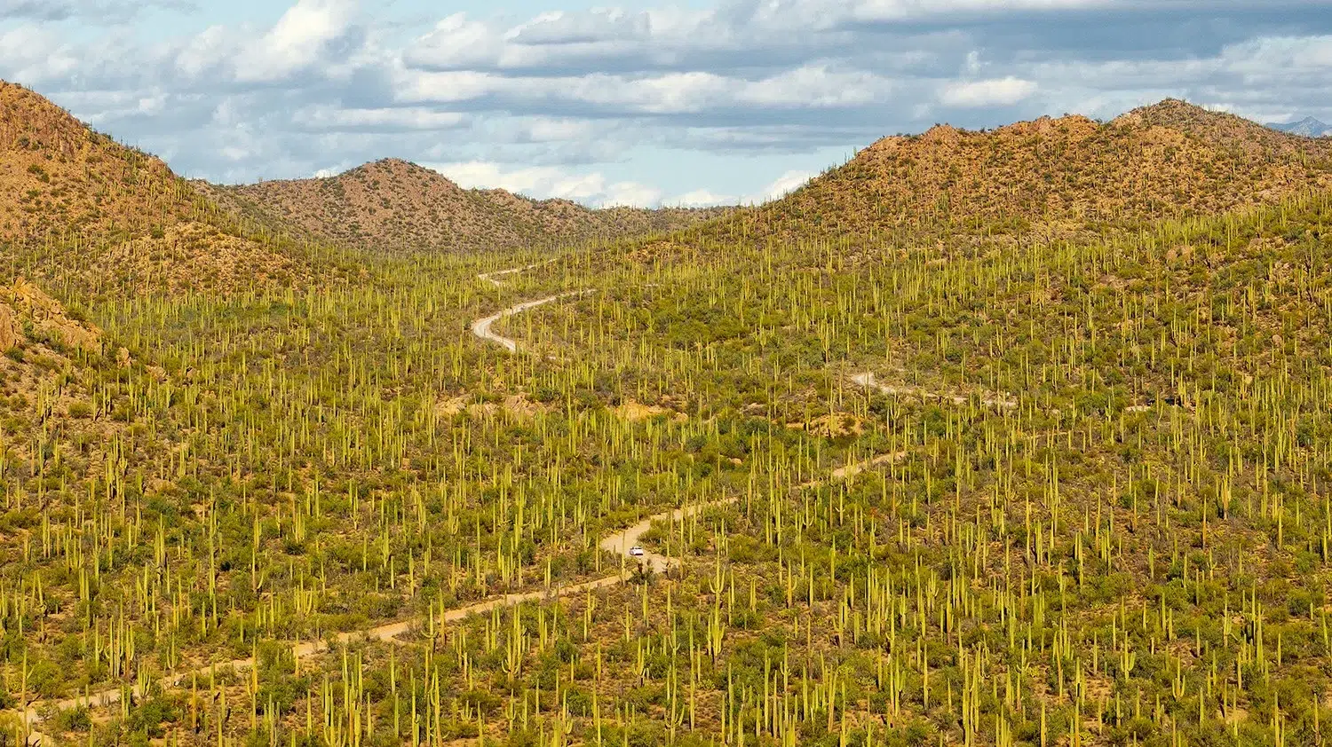 31c529a1-960f-4eff-a130-e5f0fefcde84