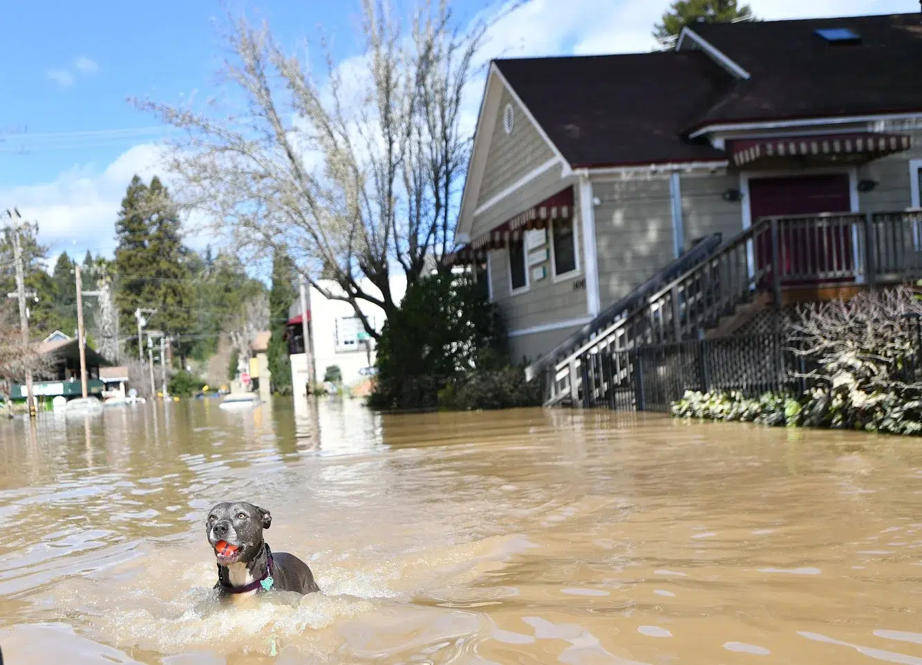 3272c004-185a-4d8a-8ab2-7b23f52c62ed