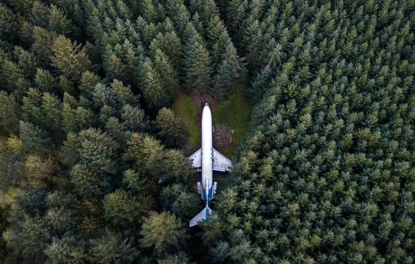 345e4d5b-6a0a-45d3-b776-2836668d7de5