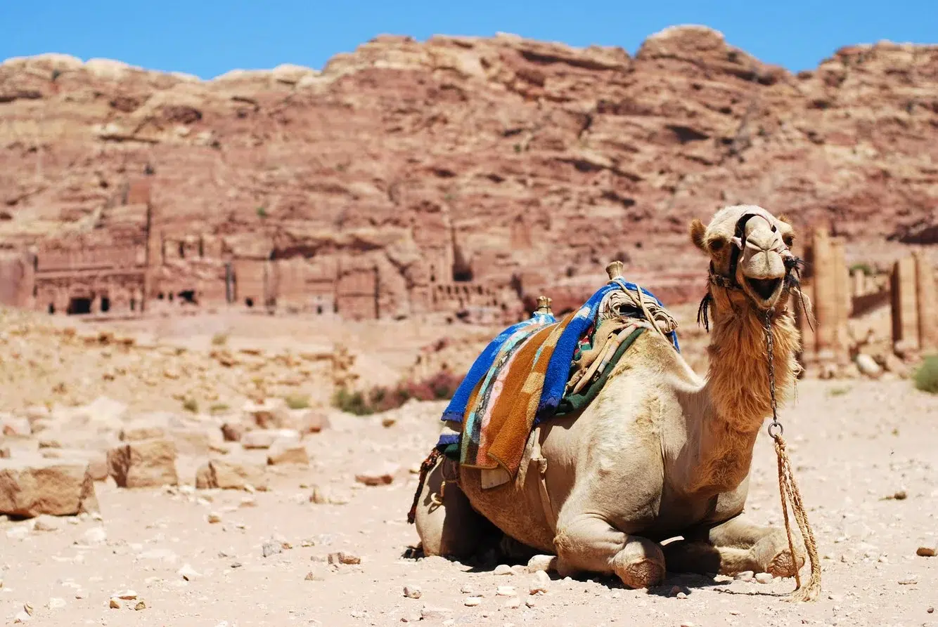 36b04dfc-75a5-4786-9b9f-877d30d44a92