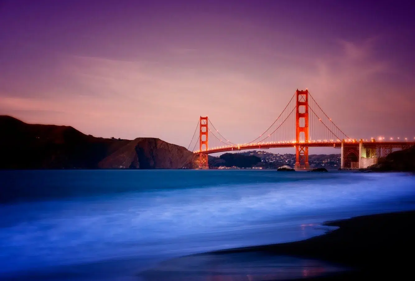 37178915-974c-4bb5-879e-7b8f1be0c027