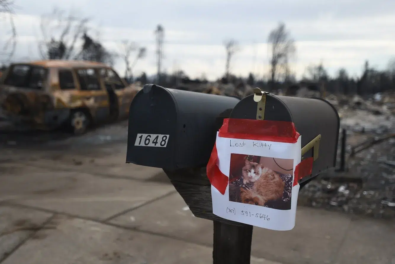 381d48f5-ec81-4540-aecb-98b4b338fca6