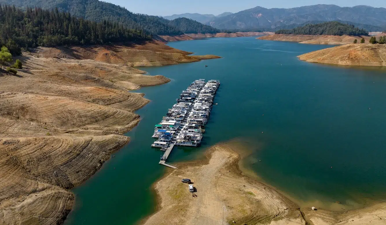 381f44fd-de2b-4b83-893c-9418d4e47297