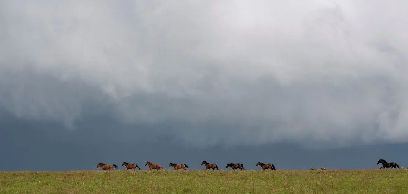 3d59960d-fc59-4871-88db-24d5273663d4