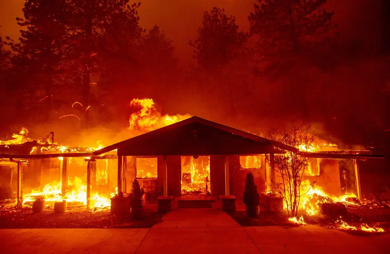 40c788f5-8023-476d-b75e-2713ea96d817