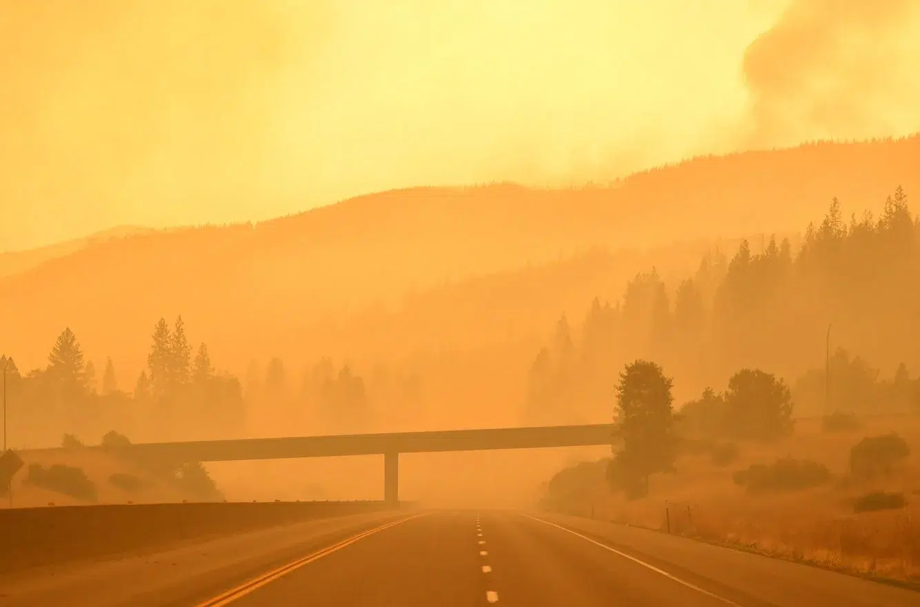 48799555-ef0f-4543-9993-fb778911f0ee