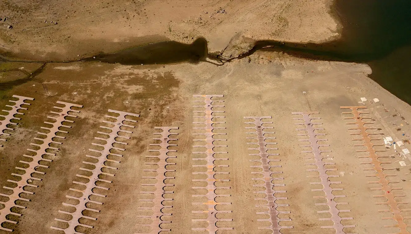 54eac8c0-4a9a-4fc3-bbd6-8c994016b978