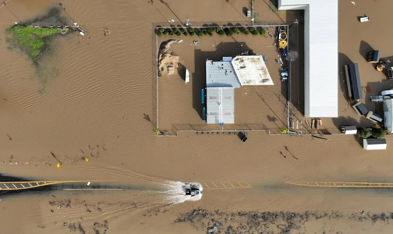 586cc972-aa02-4842-94c1-2b1f769cc9fe