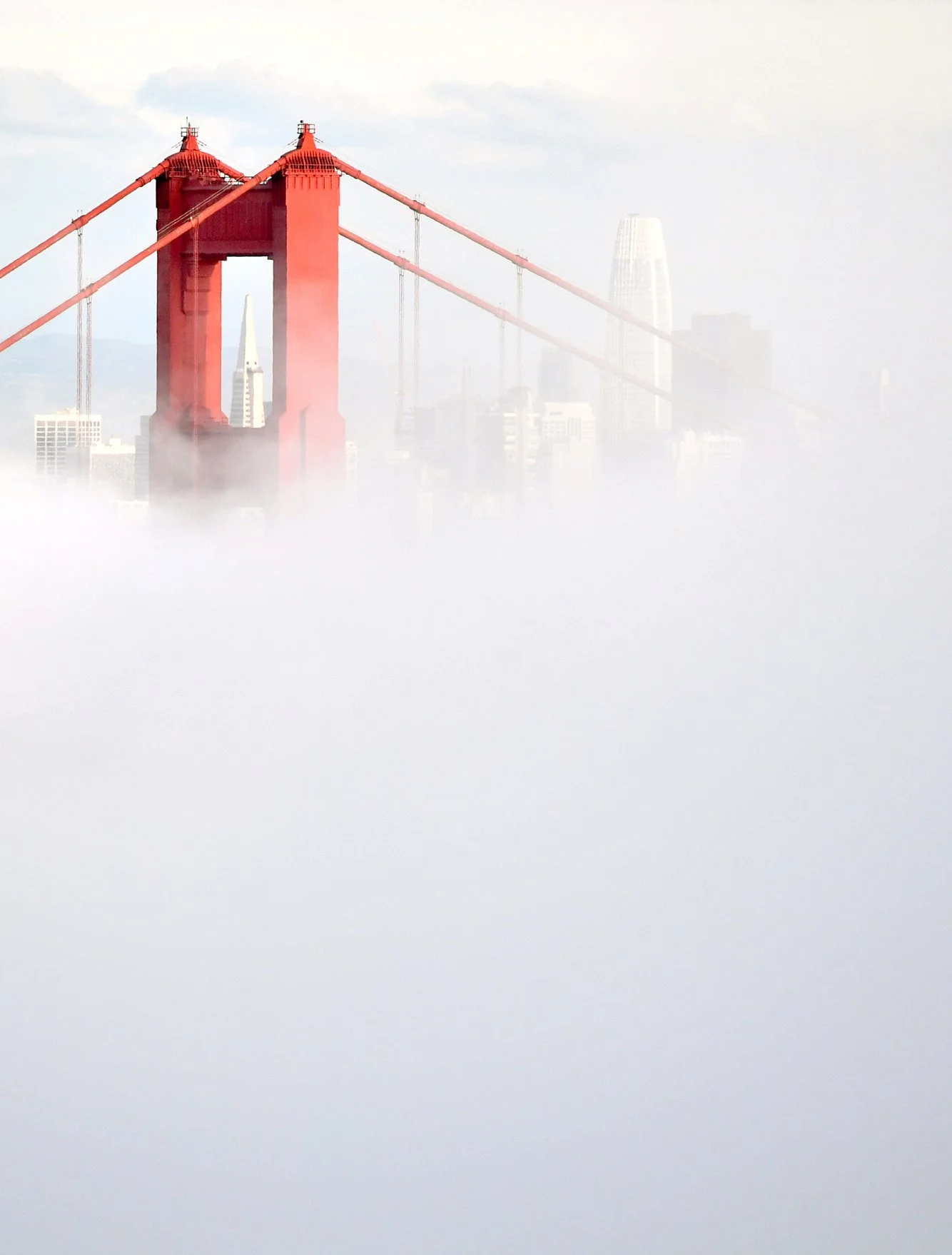 5c6878f3-7d3f-4997-b4ed-c1f0a56b2263