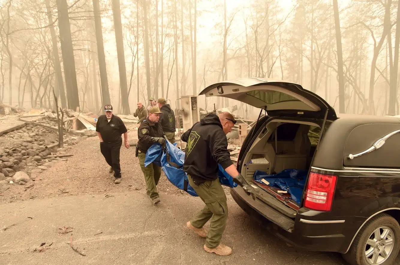 607d2cf2-2989-477d-a837-f1095c0ca79b