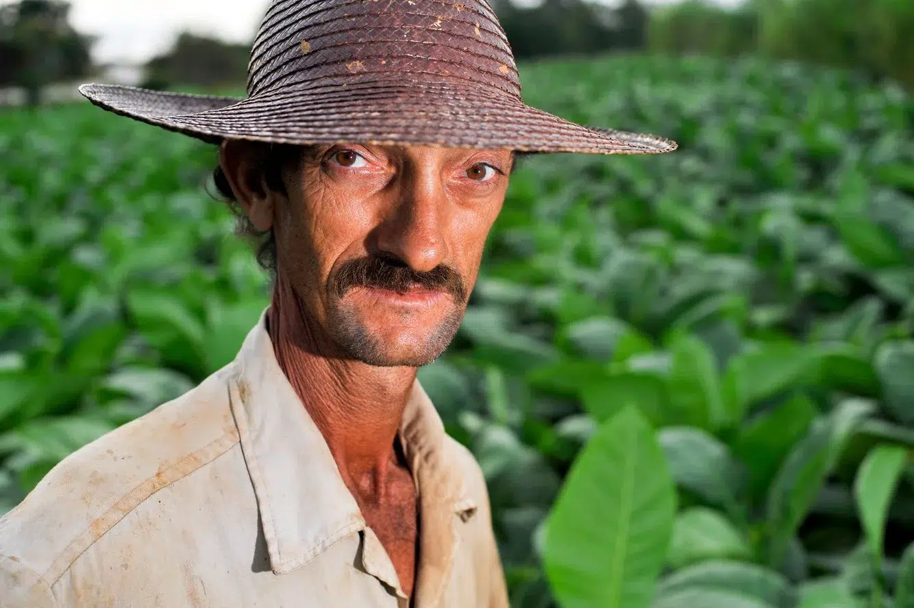 61b5db76-d92e-4c65-8cfe-39367d1d2460