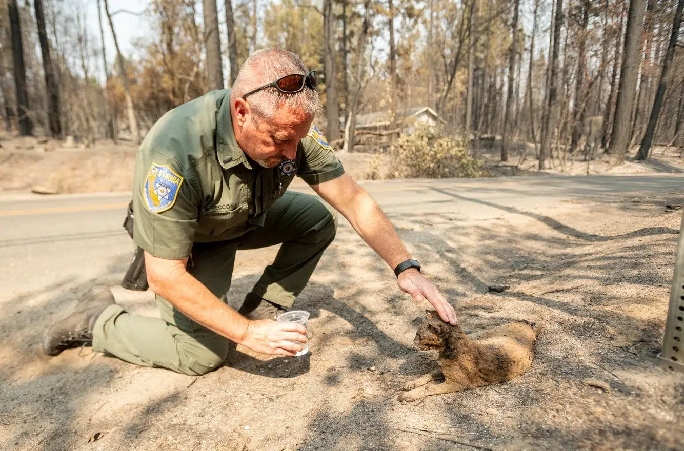 63ebe91a-f24e-4798-b26d-f5ad4dd6d751