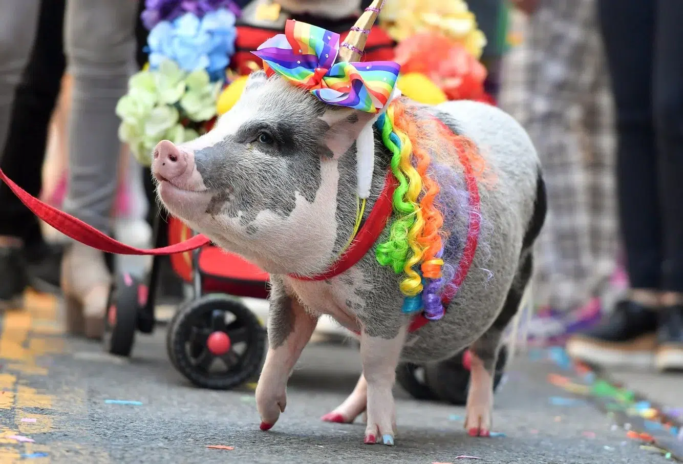 65480c14-30fb-476c-b211-d846bf91ae83