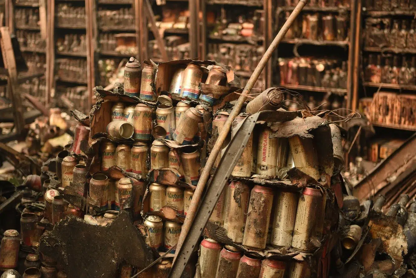 6c272ebd-5a2d-4b1c-b779-2475b7f9eeb7