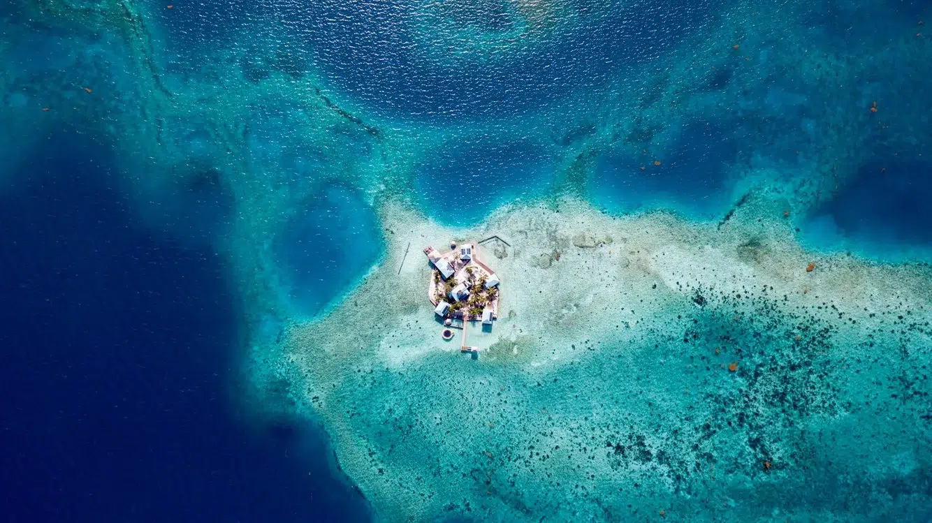 6c7427df-a8c5-4436-9de3-7ae42cb5e8e7