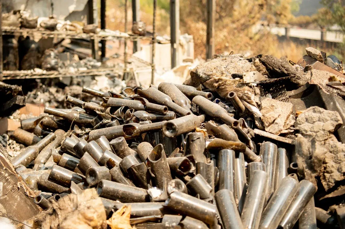 72ddc886-a5fe-42c3-9002-2b1624452188