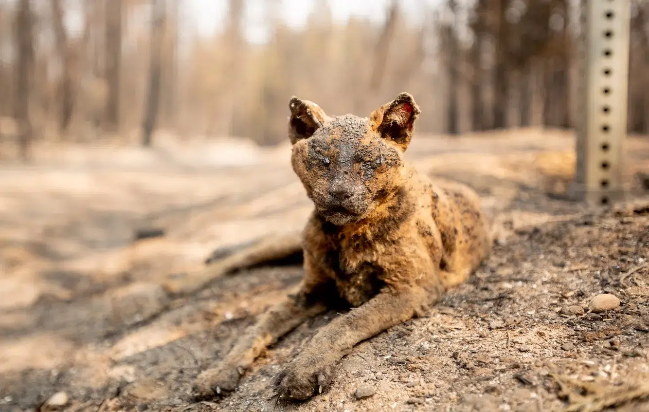 79aed61b-102e-4167-8487-f1877a804d67