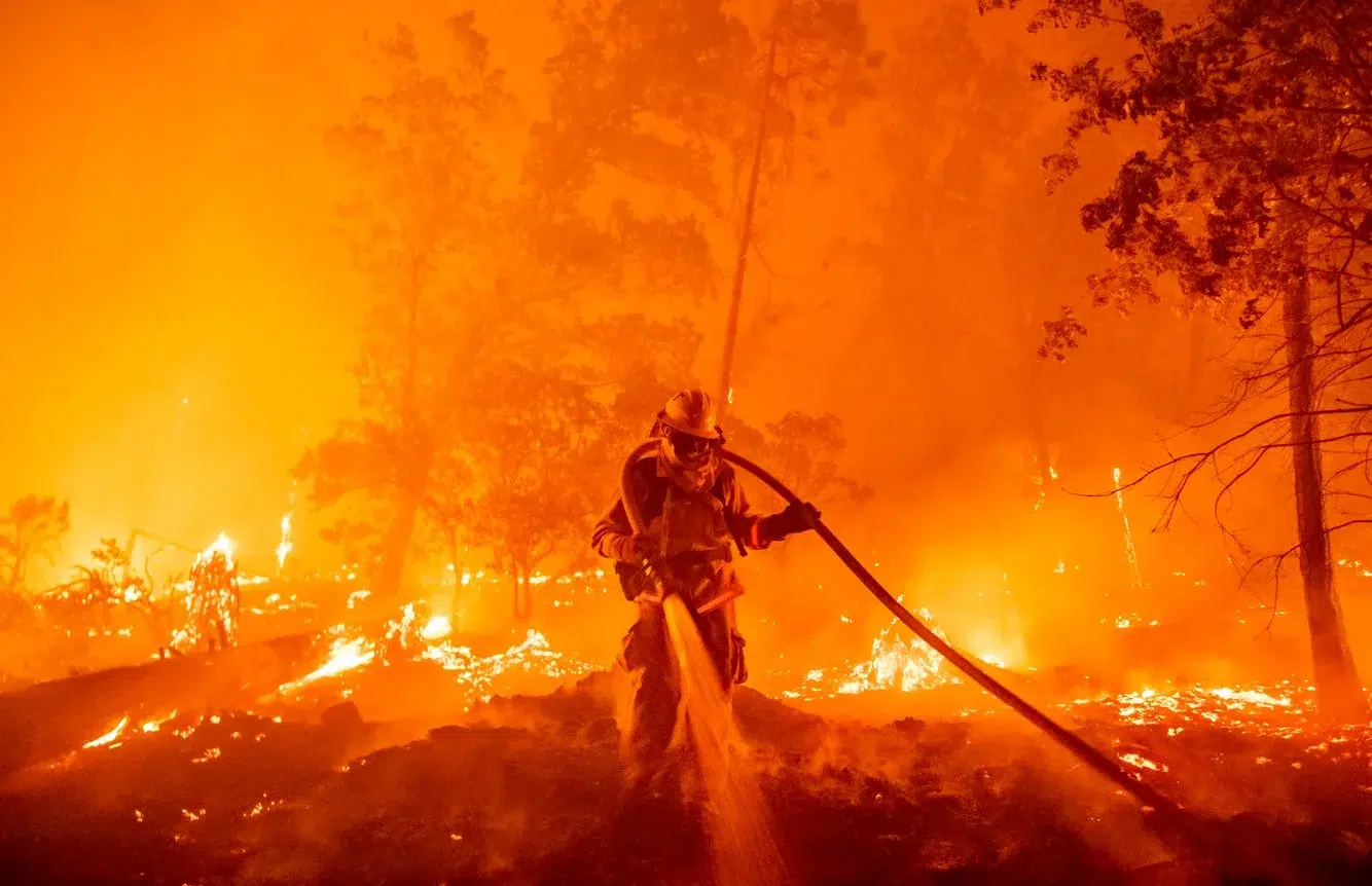 7ace0d6a-c51d-463a-beae-d11b14f462a4