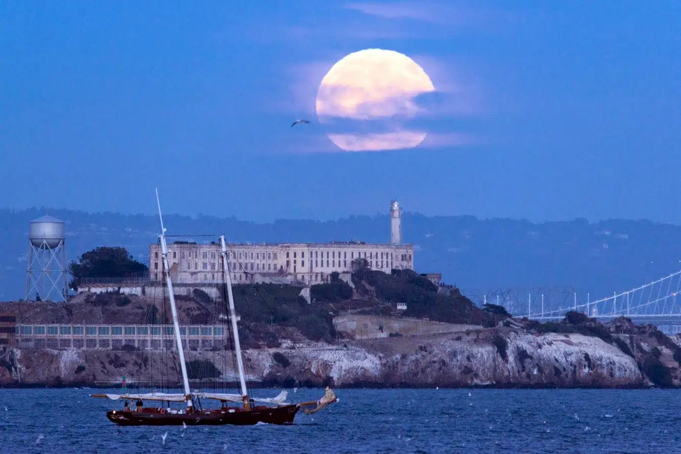 7c300df6-5931-4c0b-9d9a-d41047adf218