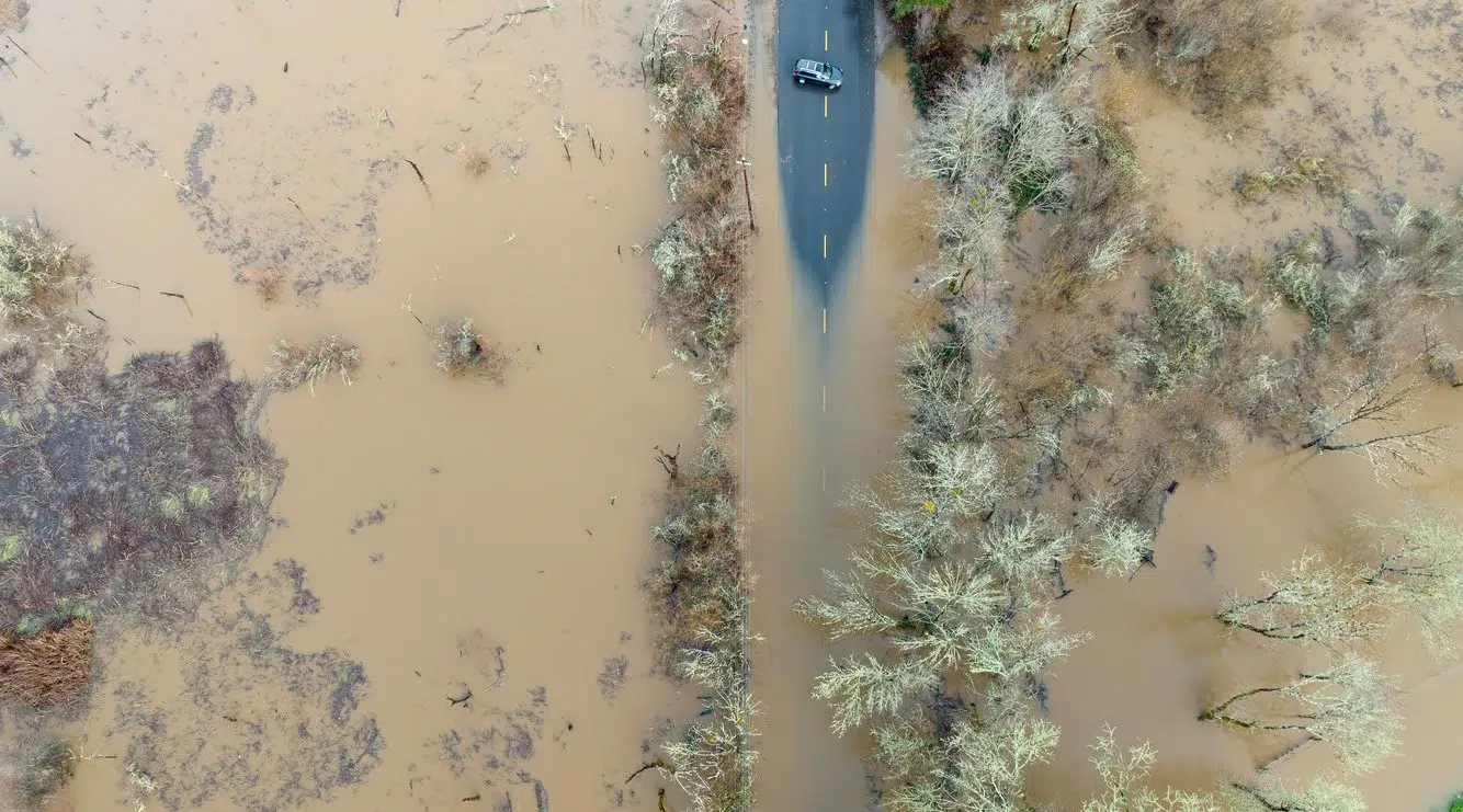 8387319b-8dc4-48b9-869c-fc0d88e9c7d8