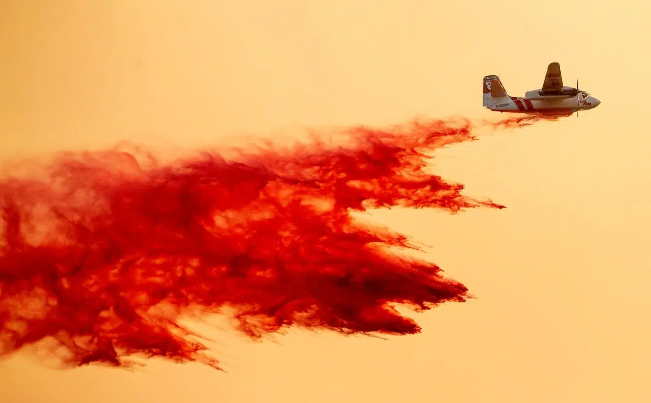 84a61fa0-12a1-474f-82d6-b705bc444547