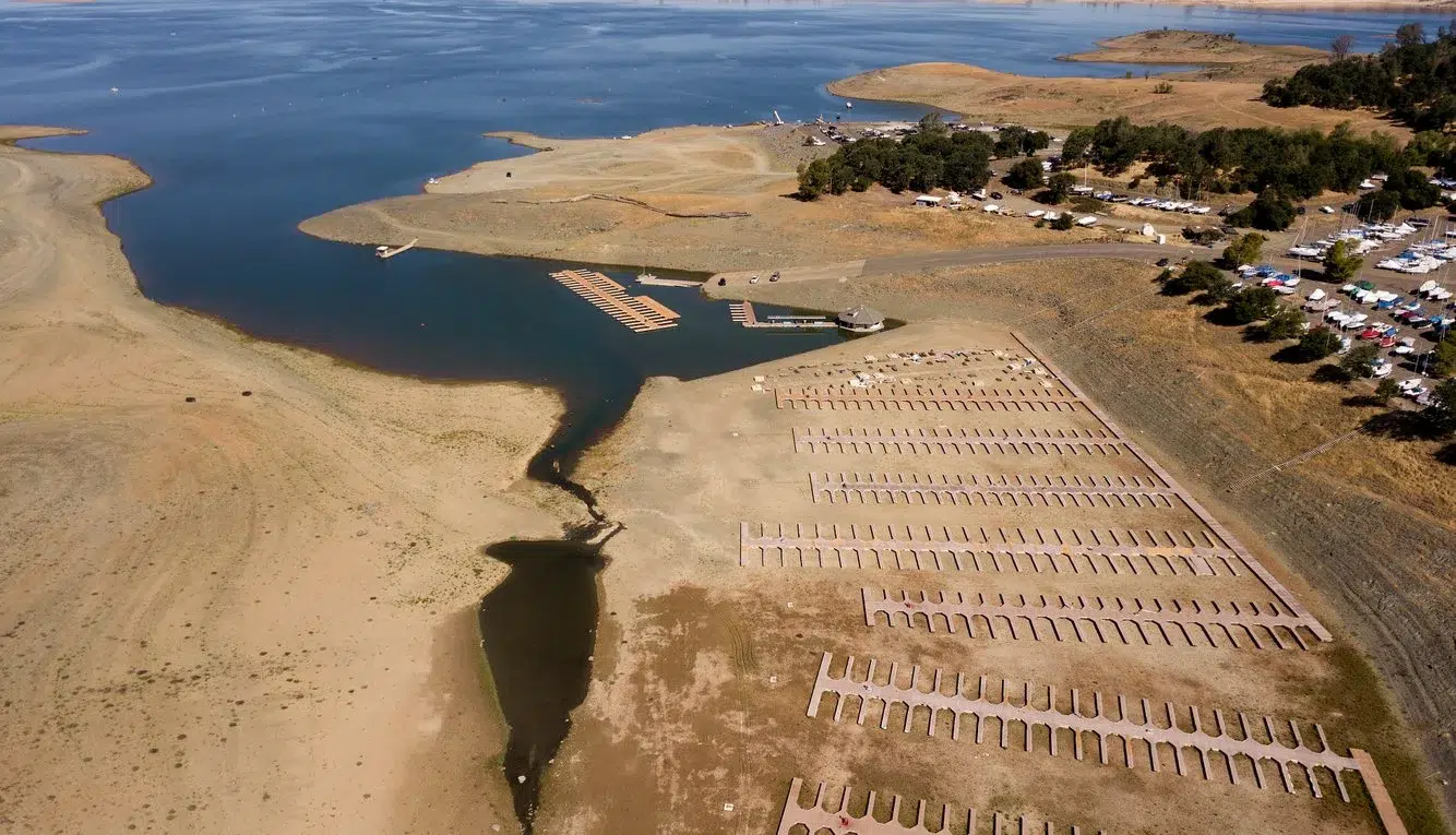 8cd6a7da-9f44-4679-8cd5-b1ce5ec19f75