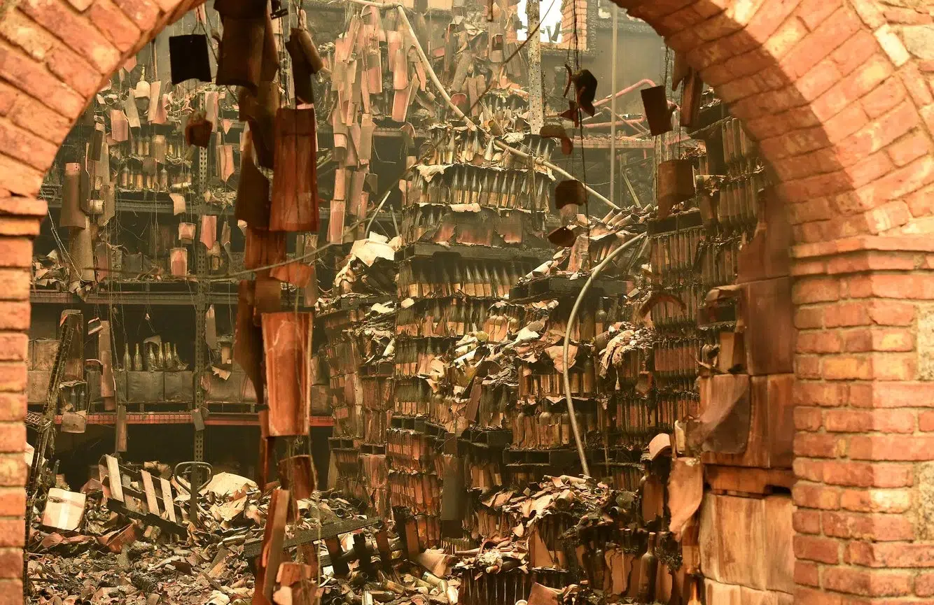 9652c00e-be00-4ebb-ace1-9cbe0dfb11db