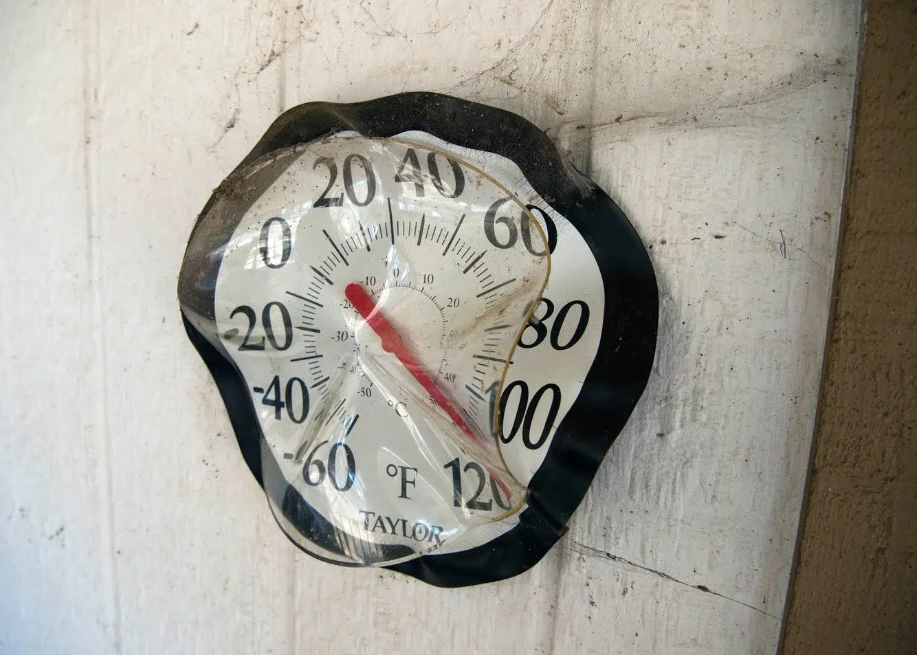 98af5f31-c079-432e-87d8-6269cc54cbdd