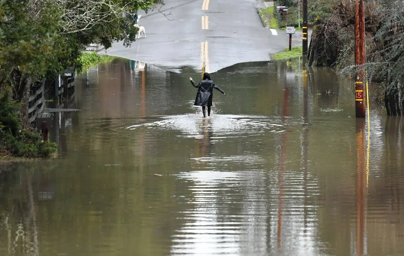 9b8d554e-beb5-41b9-94ab-0cf96bdf2839