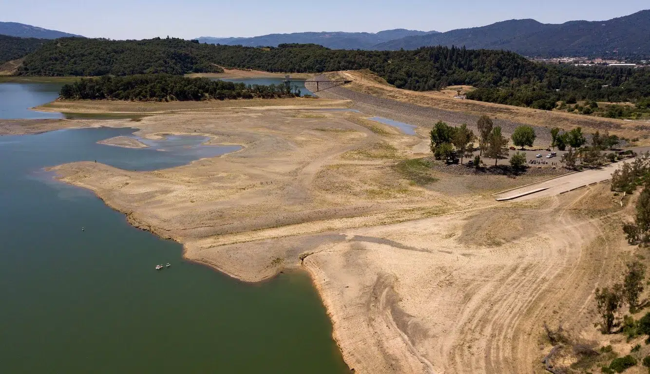 a0519fce-05d2-439e-a863-94c047e36115