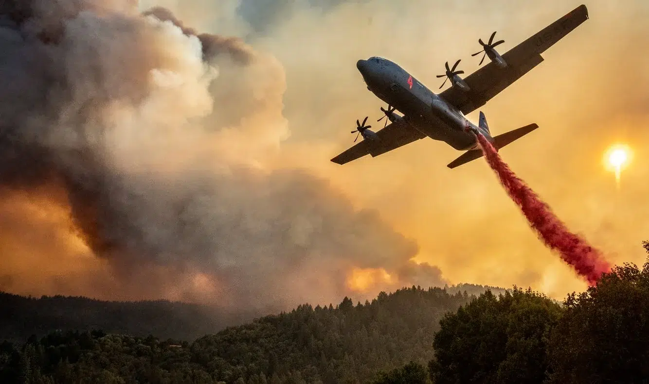 a0f185e5-5d2f-4f1b-a881-7cb04980e18a