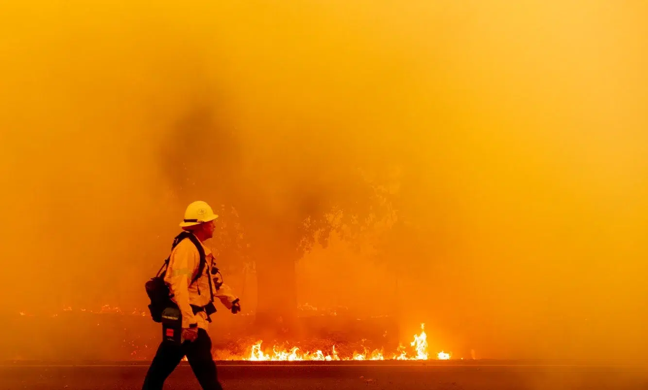 a5c56ff5-6df5-420d-856f-424bb4b9a5d0