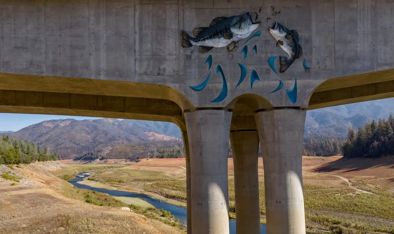 ada61159-2b43-4c08-951d-63e22f3a920f