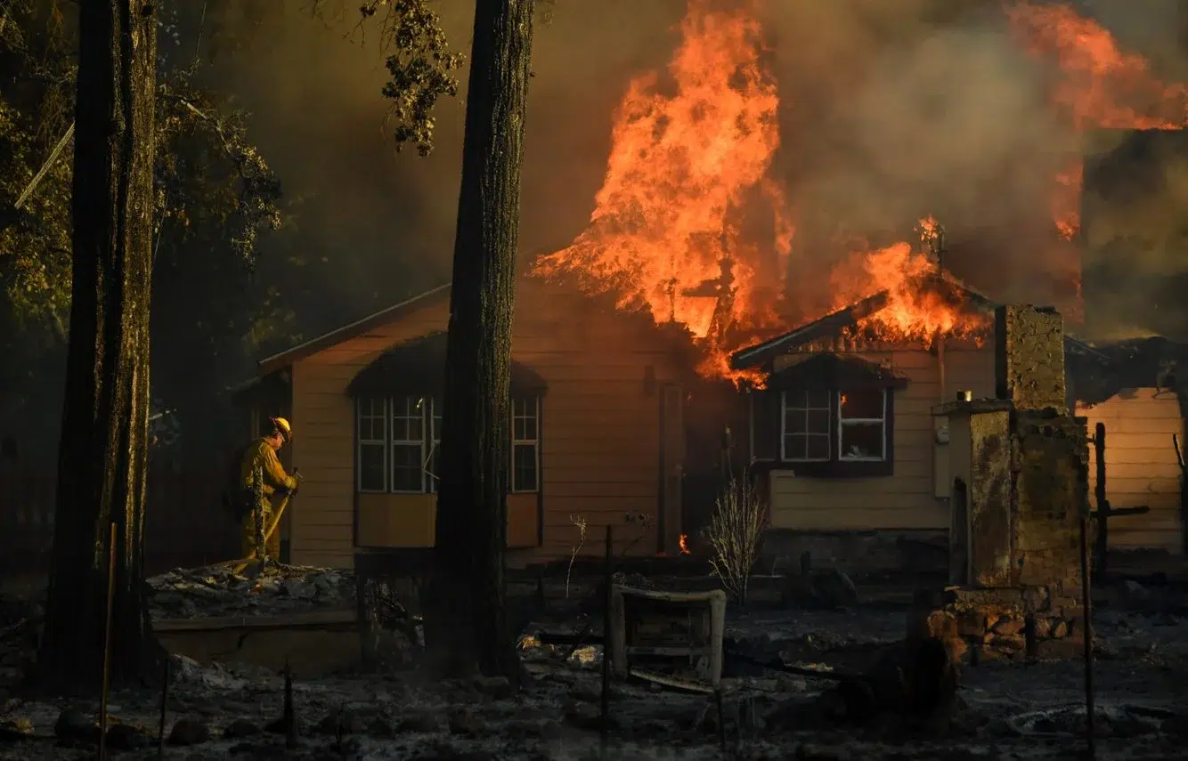 ae795f04-0d98-4d21-a793-c28aa2e6e869